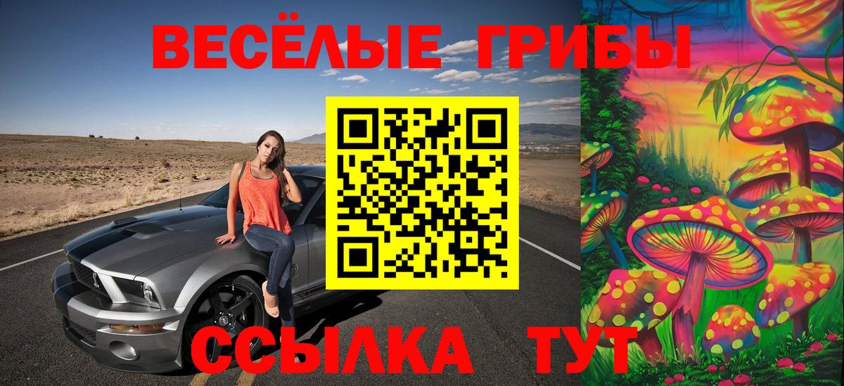 Псилоцибиновые грибы GOLDEN TEACHER  Вход с VPN  Павловский Посад  Галлюциногенные грибы мухоморы 