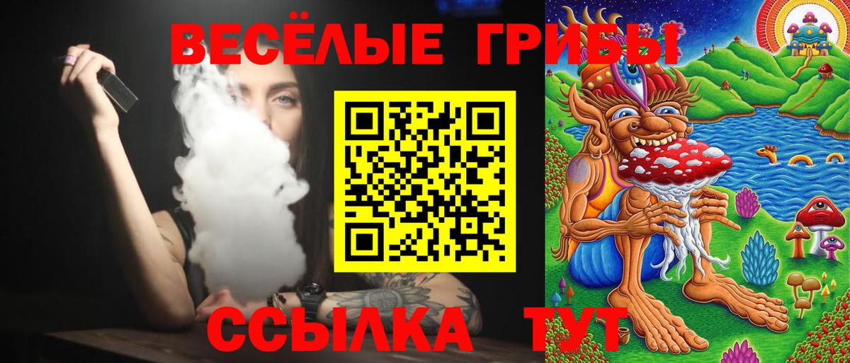 Псилоцибиновые грибы Cubensis Павловский Посад